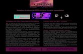 Portal 100 – Boletim Informativo do Instituto Politécnico de Portalegre