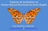 Espécies de Borboletas no Parque Natural Municipal de Santo Ângelo - RS
