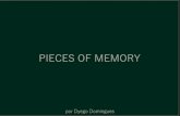 Pieces of Memory