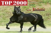 Revista TOP2000 Edição 51