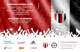 Press Release - Botafogo x Independente-PA