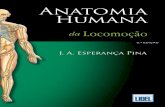 Anatomia Humana da Locomoção