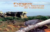 Fungos do Parque Nacional do Catimbau