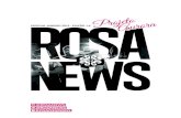 Revista Rosa News - Edição 1.6 - Especial Ano Novo