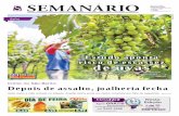 11/02/2015 - Jornal Semanário - Edição 3.103