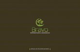 Manual Logotipo Bravo Representações e Agronegócios