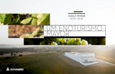 Enoturismo Mayor 2015