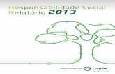Relatório - Responsabilidade Social 2013