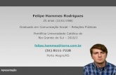 Felipe Hammes - Currículo