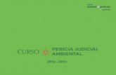 Curso Perícia Judicial Ambiental