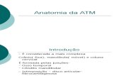 Anatomia Da ATM