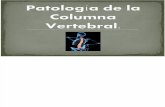 PATOLOGIA VERTEBRAL.ppt