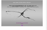 Neuropeptídeo Y e os seus receptores na retina: da proliferação celular à neuroprotecção