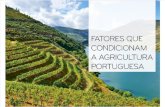 Fatores Cond. Agricult. Portug. II -15-16