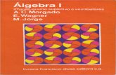 Álgebra I - Morgado (1)