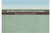 02_Recursos Energéticos Naturais