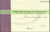 A Teoria Política de Émile Durheim Livro - Sociologia Clássica - Carlos Sell