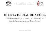 Pq as empresas brasileiras abrem o capital