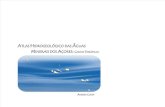 Atlas Hidroleológico das Águas Minerais dos Açores - Cartas Temáticas
