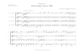 Sonata Em Ré Grade e Partes (I e IV Movimento)
