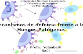 Mecanismos de defensa frente a hongos patogenos