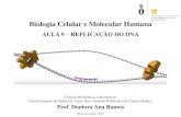 Índice AULA 9_Replicação DNA