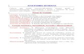 ANATOMIA I - Generalidades