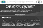 Apresentação Biodigestor BIOGAS