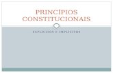 PRINCÃ-PIOS CONSTITUCIONAIS