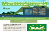 A PAC e a agricultura portuguesa