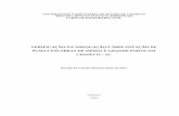 Verificação Da Adequação e Implantação de Pcmat Em Obras de Médio e Grande Porte Em Chapecó – Sc