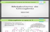 Metabolismo Glicogenio