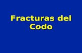 09- Fracturas Del Codo