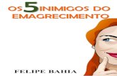 Download-19581-Os 5 Inimigos Do Emagrecimento Felipe Bahia-122063
