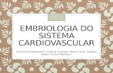 Embriologia Do Sistema Cardiovascular