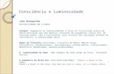Consciência e Luminosidade João Branquinho Universidade de Lisboa Sinopse: Argumenta-se indirectamente a favor do fisicalismo acerca da mente mostrando.
