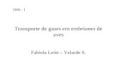 Transporte de gases em embriones de aves Fabiola León – Velarde S. 2006 - I.