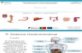 Doenças do sistema digestivo