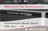 Manual de Instrucoes inyectores common rail