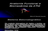 AULA 1 - Anatomia Funcional e Biomecânica Da ATM
