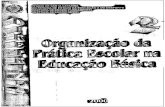 Diretrizes Para a Organização Da Prática Escolar Na Educação Básica 2000