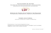 Sistemas de Gestao Da Qualidade Nas Empresas Portuguesas - Implantacao, Impacto e Rendimento