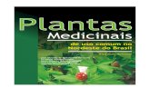 Plantas Medicinais de Uso Comum No Nordeste Do Brasil