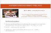 Hipertireoidismo Felino