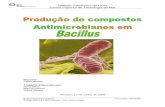 Relatório de Biotec Farmaceutica_bacillus
