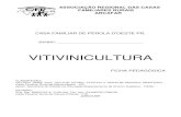 Ficha Pedagógica - Vitivinicultura - Pr