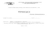 Ficha Pedagógica - Trigo - Pr