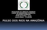 Seminário de Ecologia - Pulso Dos Rios Na Amazonia