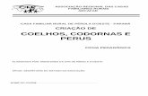 Ficha Pedagógica - Coelhos, Codornas e Perus - Pr