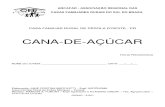 Ficha Pedagógica - Cana-De-Açúcar - Pr